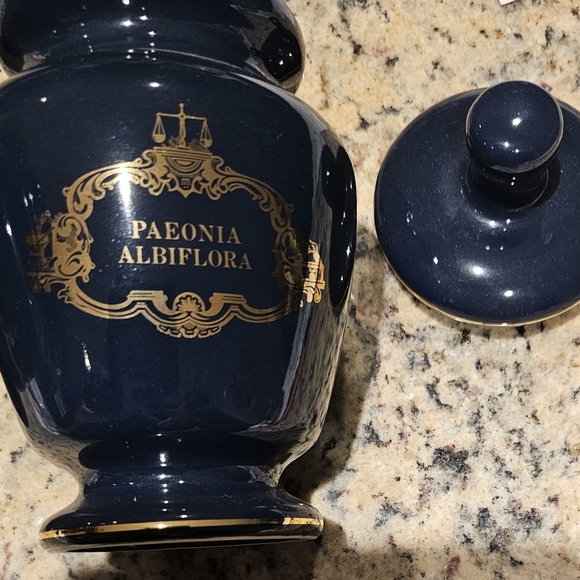 Pharmacy Apothecary Jar Set by Eli Lilly Navy & Gold - Picture 2 of 3